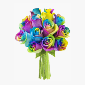 Color the Rainbow Roses