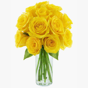 Aster Rose